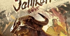 Jallikattu