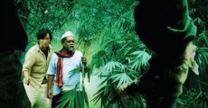 Jin Hutan film complet