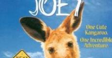 Joey (1997)