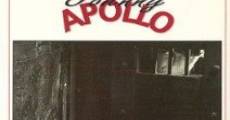 Johnny Apollo film complet