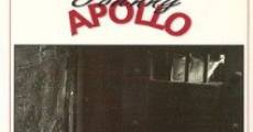 Johnny Apollo (1940) stream