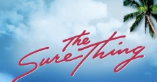 The Sure Thing (1985) stream