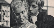 Jungfer, Sie gefällt mir (1969) stream