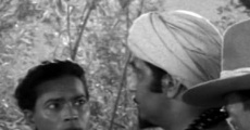 Jungle Hell (1956) stream