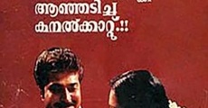 Kanalkkattu film complet