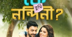 Ke Tumi Nandini film complet