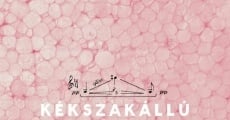 Kékszakállú streaming