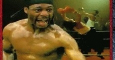 Kickboxer the Champion streaming