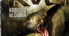 Komodo versus Cobra streaming