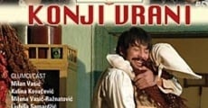 Konji vrani film complet