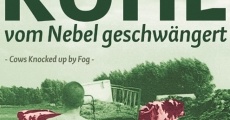 Película Kühe, vom Nebel geschwängert