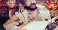 Kul sevdasi (1980) stream