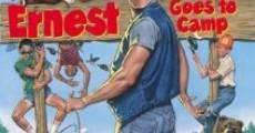 Ernest et les joyeuses colonies streaming