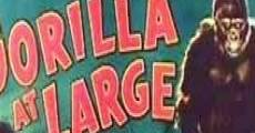 Gorilla at Large (1954) stream