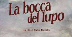 La bocca del lupo