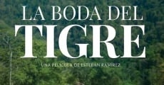 La boda del tigre