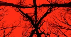 Blair Witch streaming