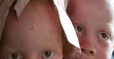 Ver película La caza de albinos en África