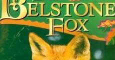 Der Fuchs von Belstone