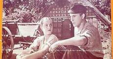 Das Mädchen vom Moorhof (1935) stream