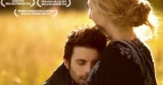 La consolation (2017)