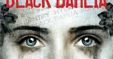 Película La dalia negra (Black Dahlia)