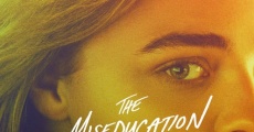 The Miseducation of Cameron Post film complet