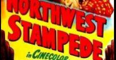 Northwest Stampede (1948) stream