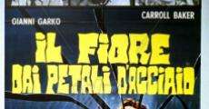 Il fiore dai petali d'acciaio (1973) stream