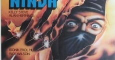 Ninja Assassins (1985)