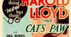 The Cat's-Paw (1934) stream