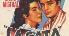 La gata (1956) stream