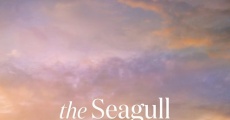 The Seagull - Eine unerhörte Liebe