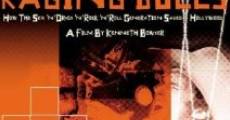 Easy Riders, Raging Bulls: How the Sex, Drugs and Rock 'N' Roll Generation Saved Hollywood (2003)