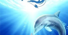 Dolphin Tale (2011)