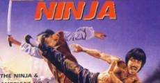 Película La gran venganza ninja