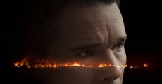 First Reformed (2017) stream