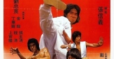 Película La increíble misión del Kung Fu