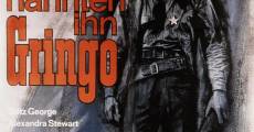 Sie nannten ihn Gringo (1965) stream