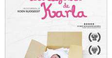 La llegada de Karla (2011) stream