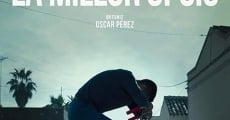 La millor opció (2016) stream