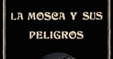 La mosca y sus peligros