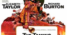 The Taming of the Shrew (1967) stream