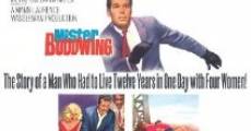 Mister Buddwing (1966) stream