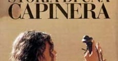 Storia di una capinera film complet