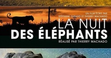 Película La nuit des éléphants