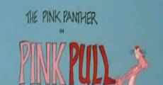 Ver película La Pantera Rosa: El imán rosa