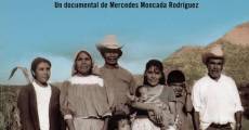 La pasión de María Elena