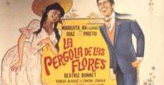 La pérgola de las flores streaming