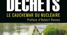 Déchets: le cauchemar du nucléaire (2009) stream